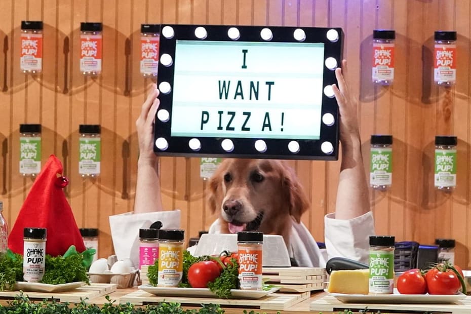 Shake It Pup from Shark Tank